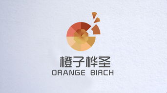 橙子網絡科技 信息技術驅動的創新先鋒